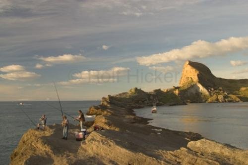 Photo: 
New Zealand Fishing