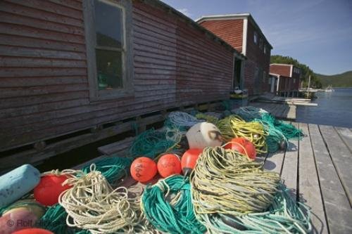 Photo: 
newfoundland pictures