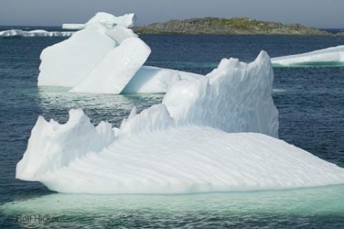 Photo: 
Lots of Ice iceberg photo