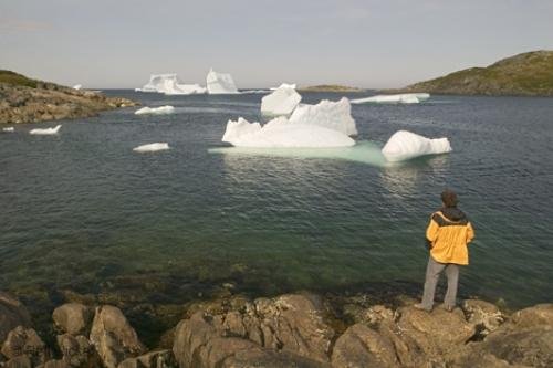 Photo: 
newfoundland F76T0774