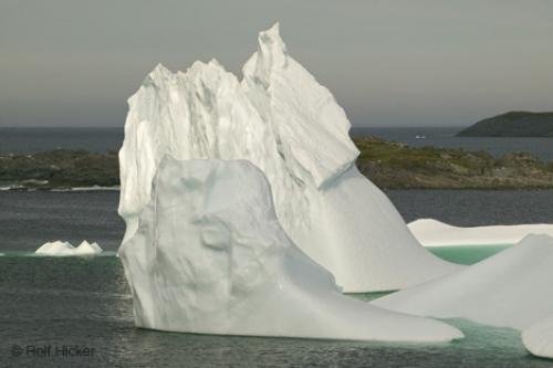 Photo: 
newfoundland F76T0824