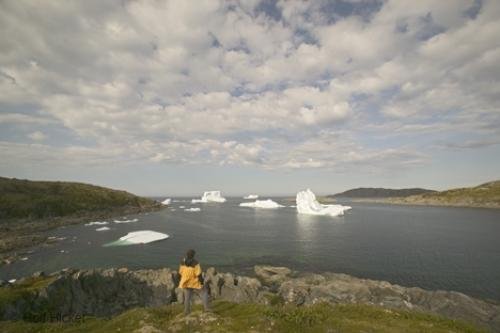 Photo: 
Hiker looking at icebergs pictures of icebergs