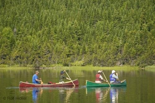 Photo: 
Canoeing Tours