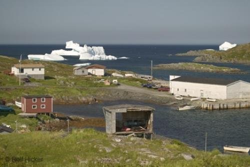 Photo: 
newfoundland F76T1952