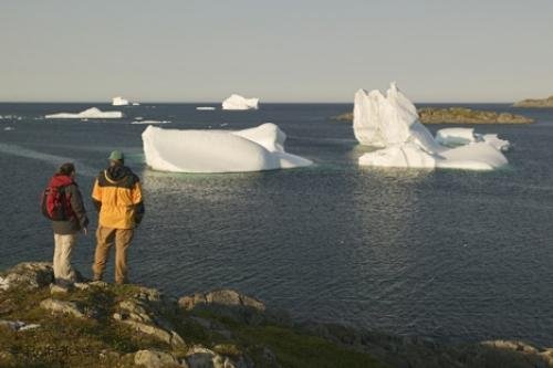 Photo: 
newfoundland F76T2065