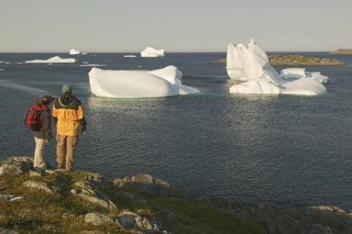 Photo: 
Nature Pictures Tourists Enjoying Icebergs