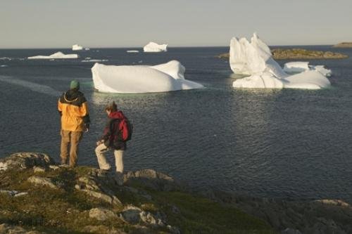 Photo: 
newfoundland F76T2071