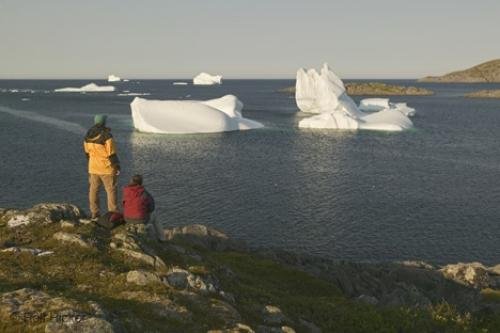 Photo: 
newfoundland F76T2077