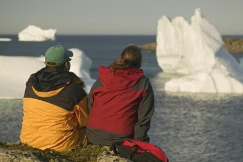 Photo: 
newfoundland F76T2086