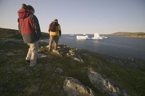 Photo: 
newfoundland F76T2139