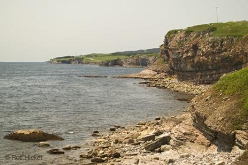 Photo: 
newfoundland F76T3797