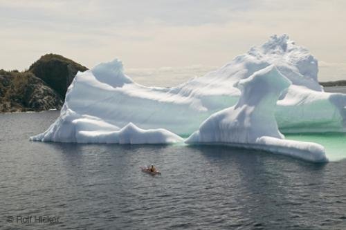 Photo: 
Kayaking Tours Icebergs Newfoundland