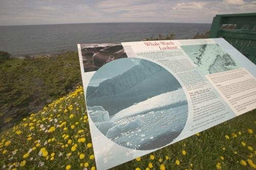 Photo: 
whale watch lookout newfoundland