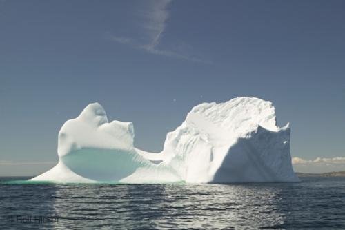 Photo: 
ice bergs