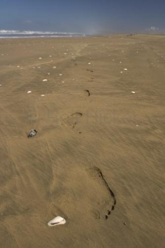 Photo: 
Prints Sand Beach Hukatere