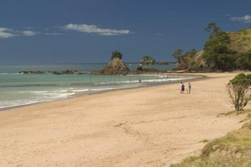 Photo: 
New Zealand Beaches Tauranga Bay