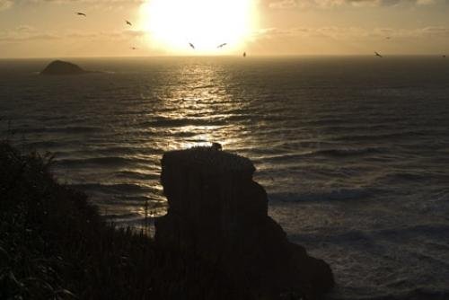 Photo: 
Muriwai Beach Sunset New Zealand