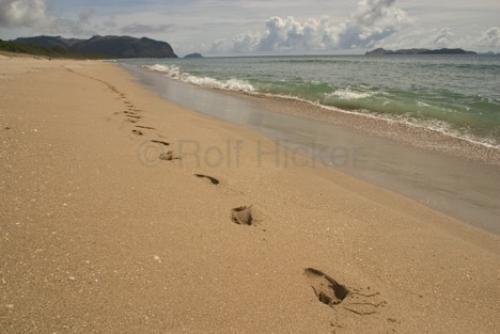 Photo: 
New Zealand Travel Footprints Sand Beach