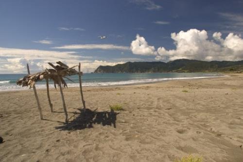 Photo: 
Sandy beach Waipiro Bay East Cape