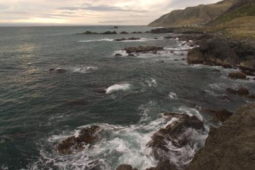 Photo: 
Cape Palliser Scenic Shoreline North Island NZ