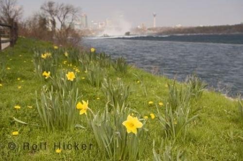 Photo: 
Niagra Falls History