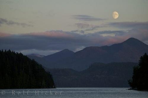 Photo: 
Nootka Sound