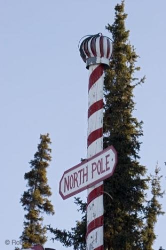 Photo: 
north pole