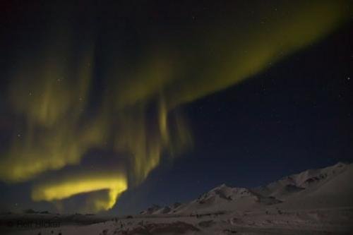 Photo: 
northern lights Mountain Range