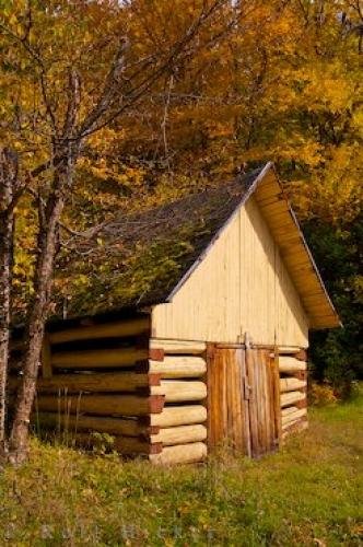 Photo: 
Old Hut And Fall Leaves Picture