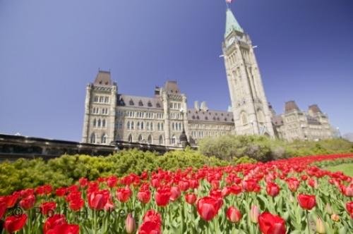 Photo: 
Parliament Hill Ottawa