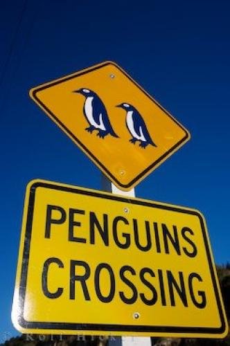 Photo: 
Penguin Sign Oamaru