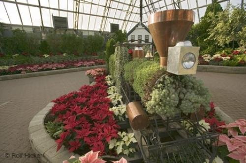 Photo: 
Flower Display Muttard Conservatorium