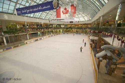 Photo: 
ice ring