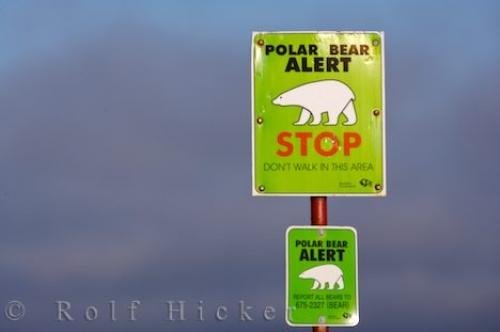 Photo: 
Polar Bear Alert Sign Churchill Manitoba