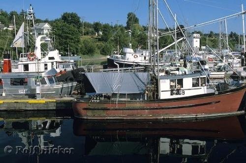 Photo: 
Powell River BC