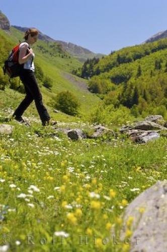 Photo: 
Pyrenees Spain Hiking