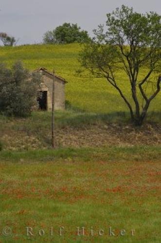 Photo: 
Quaint Old Shed Wildflowers Field Provence