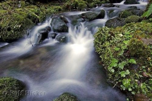 Photo: 
Rainforest Rivers