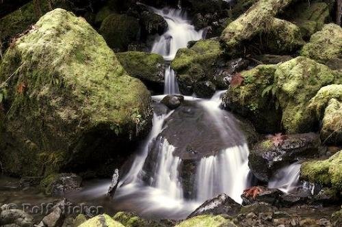 Photo: 
rainforest waterfall