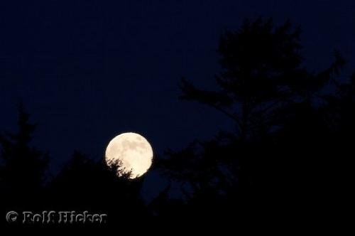 Photo: 
Rising Moon Picture