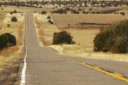 Photo: 
Arizona Desert Road Picture USA