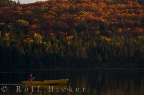 Photo: 
Rock Lake Canoeing At Sunset Algonquin Provincial Park