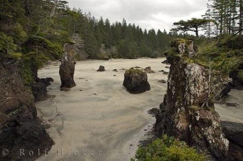 Photo: 
San Josef Bay BC