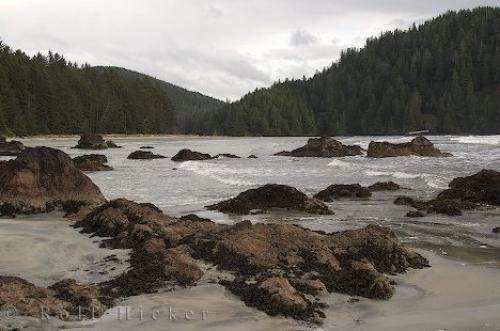 Photo: 
San Josef Bay Reefs