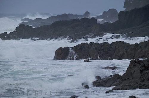 Photo: 
San Josef Bay Storm Watching