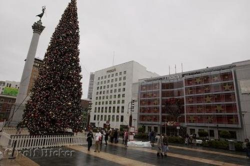 Photo: 
San Francisco Christmas Tree