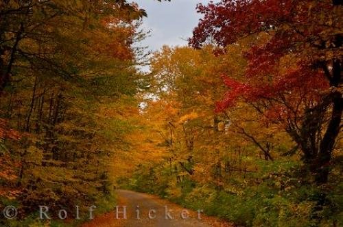 Photo: 
Scenic Road Picture Autumn Leaves