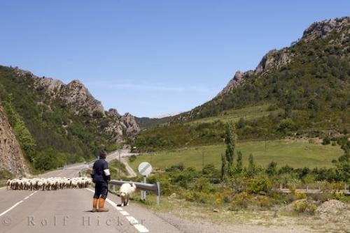 Photo: 
Sheep Valley Anso Aragon Spain