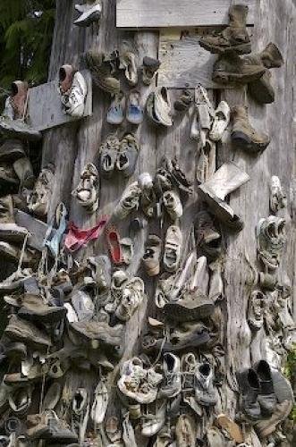 Photo: 
Shoe Tree BC