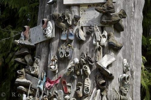 Photo: 
Shoe Tree Exhibit